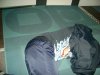 DSC01481